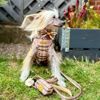 Pet Poop Bag Holder - Chestnut Lane