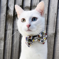 Pet Bow Tie - Kitty Cool Cats