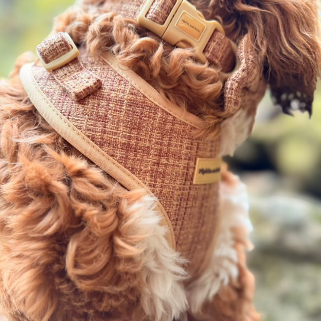 Adjustable Dog Harness - Highland Spark