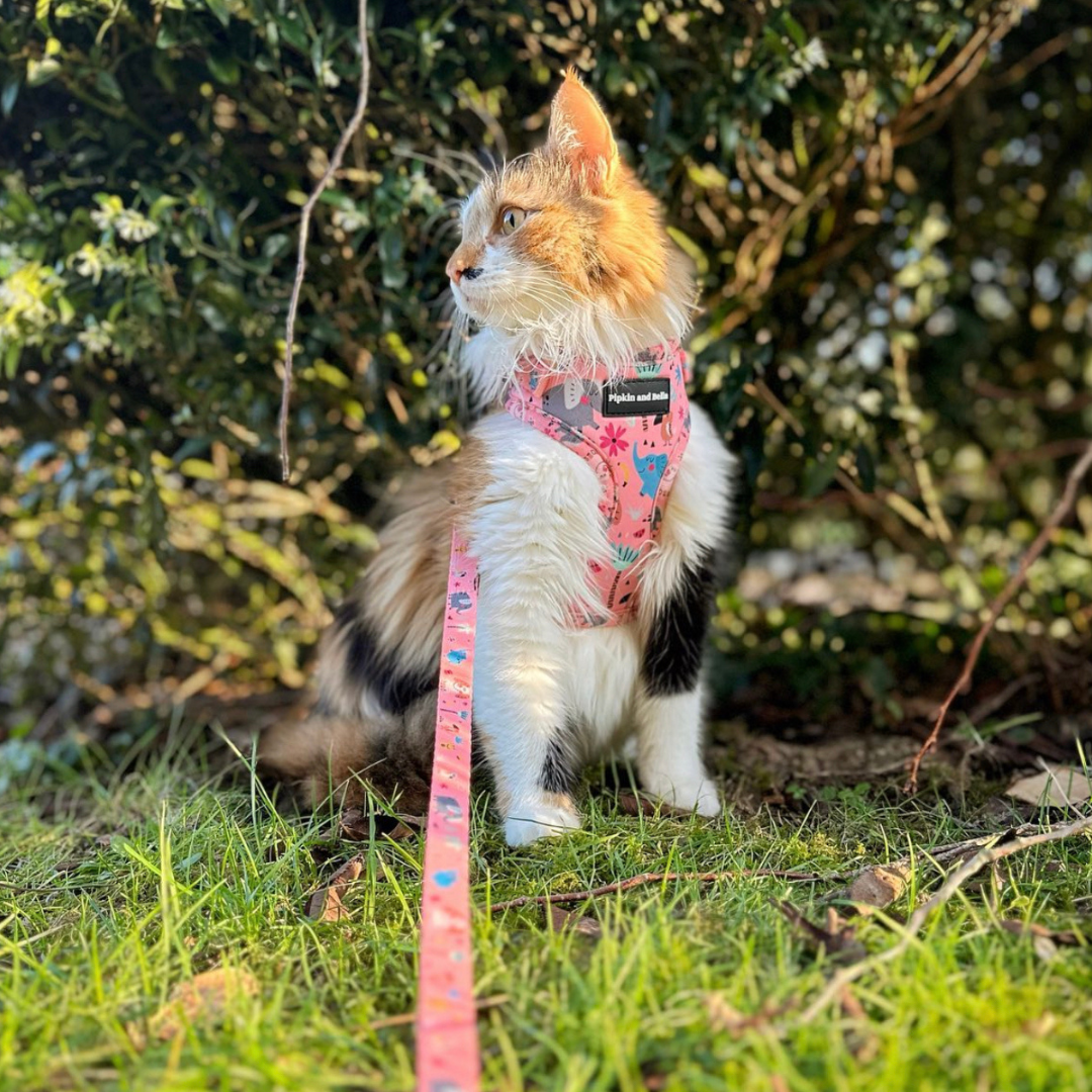 Fabric Cat Lead - Ellie Funk