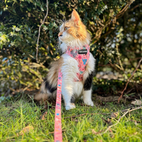 Adjustable Cat Harness - Ellie Funk
