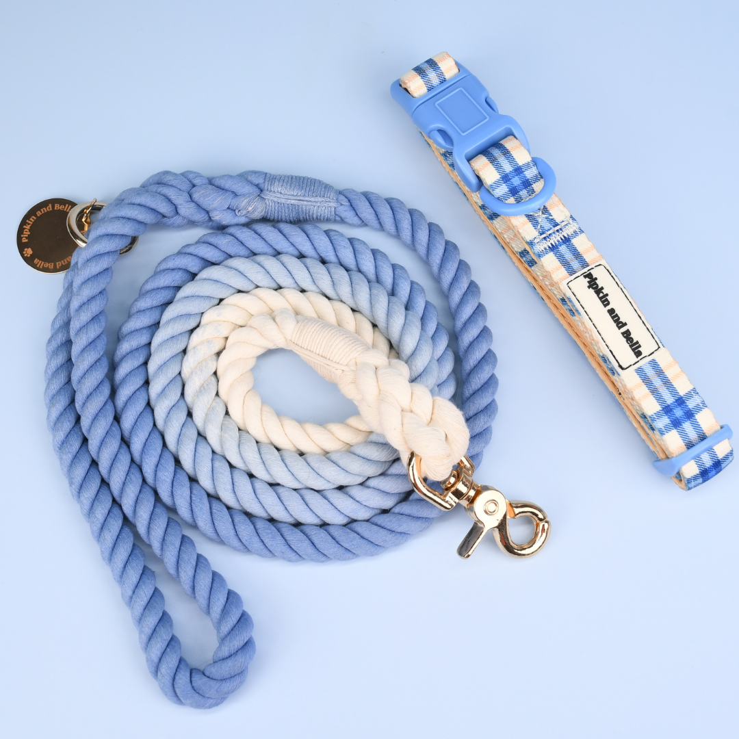 Adjustable Dog Collar - Twilight