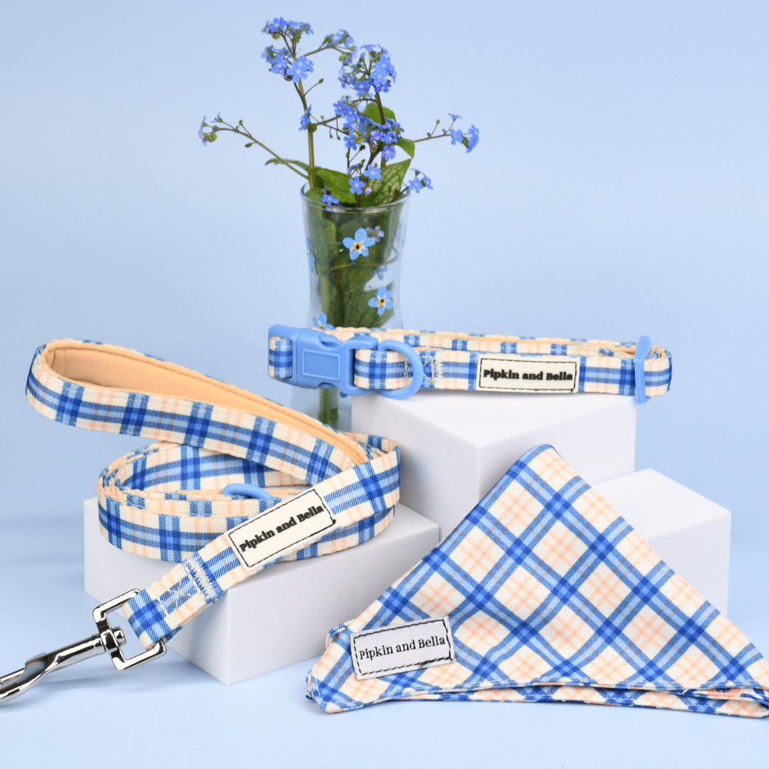 Adjustable Dog Collar - Twilight