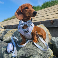 Pet Bow Tie - Tick Tock