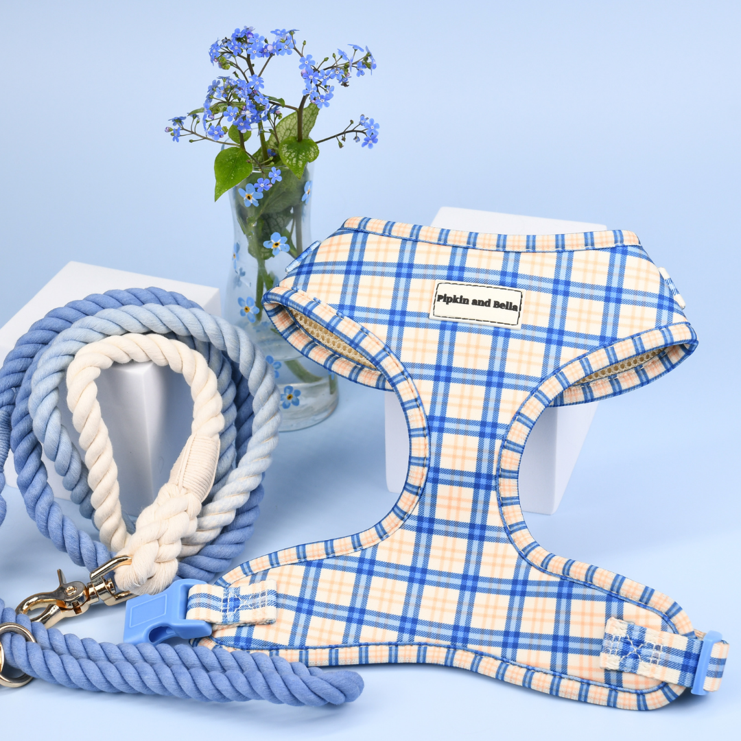 Adjustable Cat Harness - Twilight