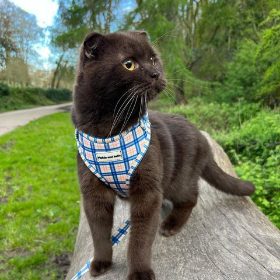 Adjustable Cat Harness - Twilight