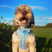 Pet Sailor Bow Tie - Twilight