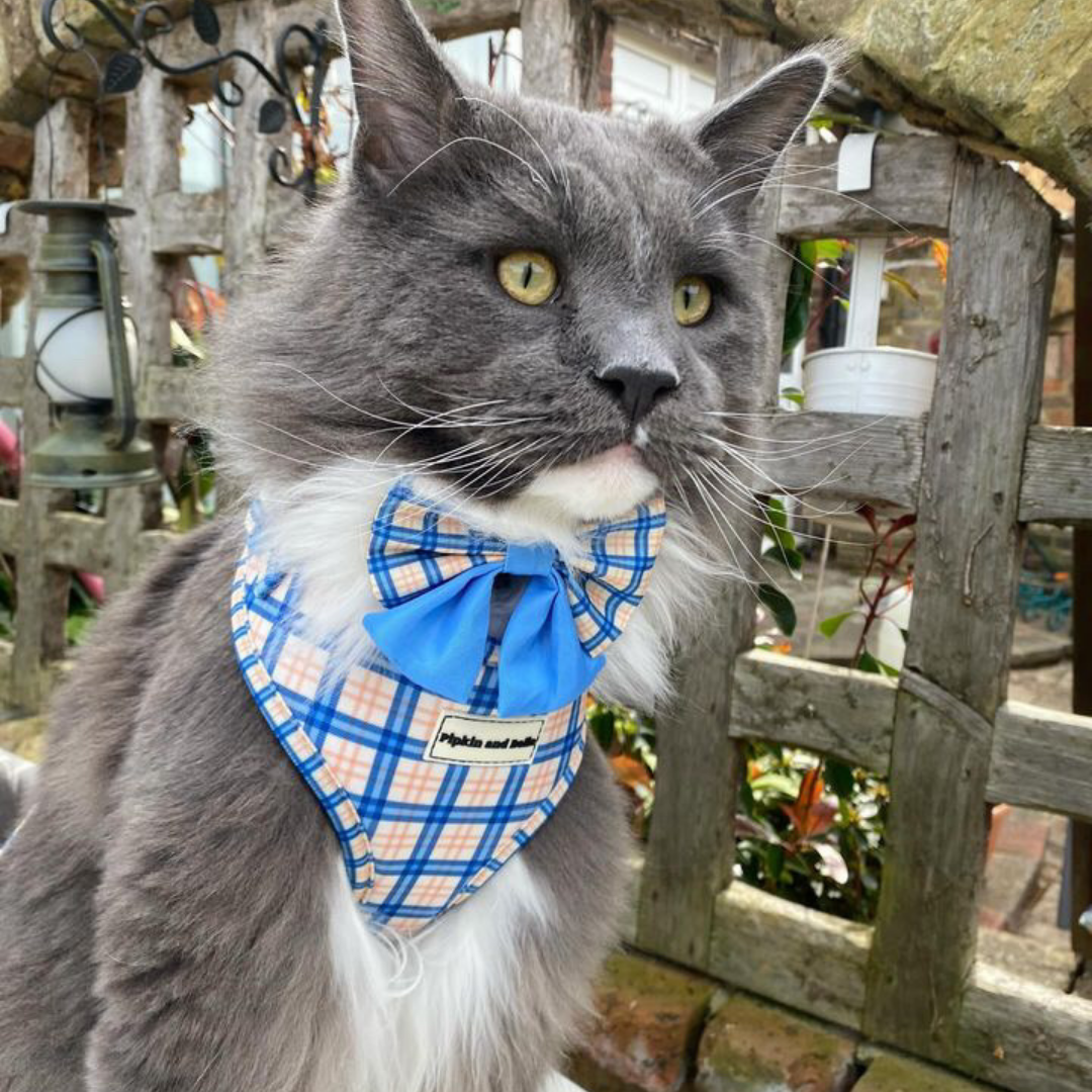 Adjustable Cat Harness - Twilight