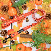 Fabric Dog Lead - Woody the Snail