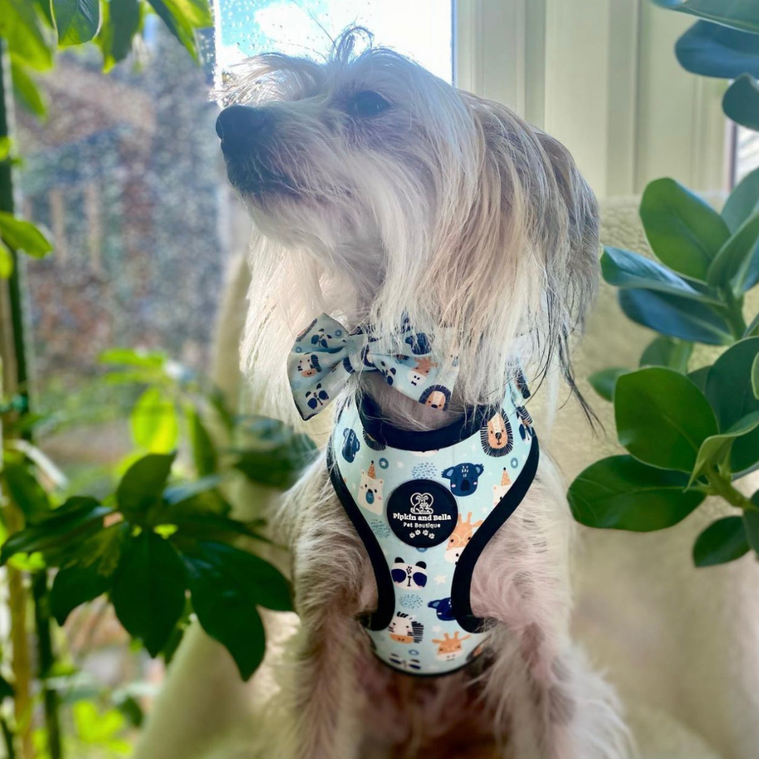 Adjustable Dog Harness - Safari