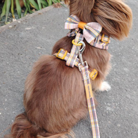 Adjustable Dog Harness - Chestnut Lane
