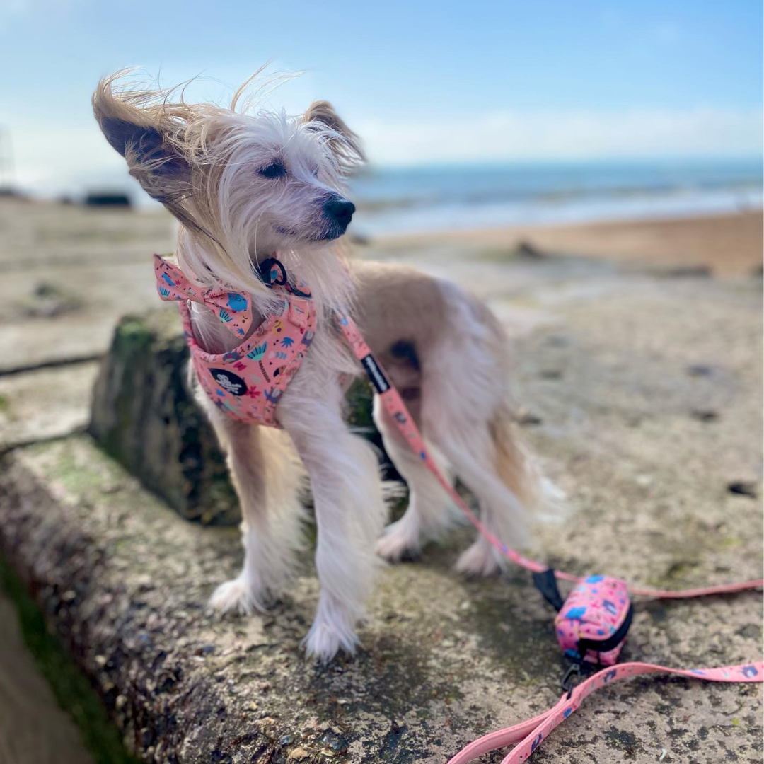 Pet Poop Bag Holder - Ellie Funk