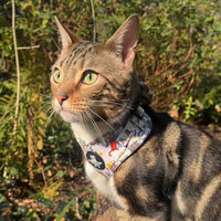 Adjustable Cat Harness - Kitty Cool Cats
