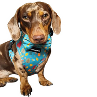 Adjustable Dog Harness - Wellie Walkies