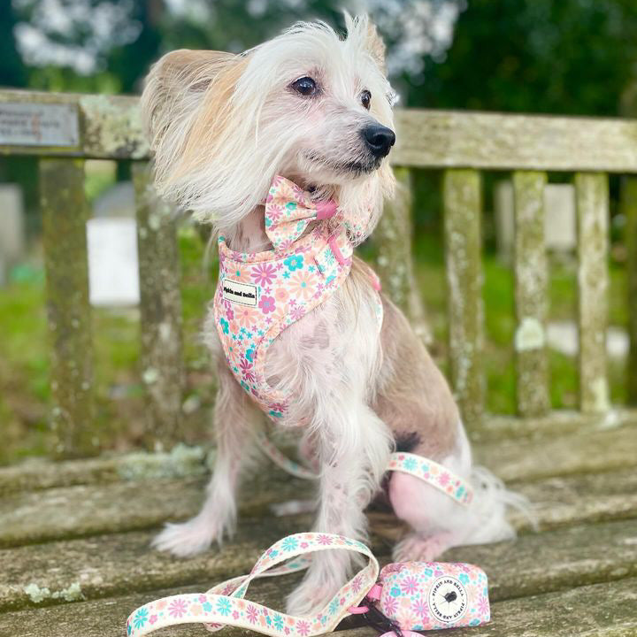 Pet Poop Bag Holder - Blossom