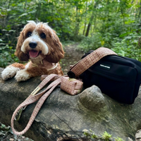 Walking Bag - Midnight Black