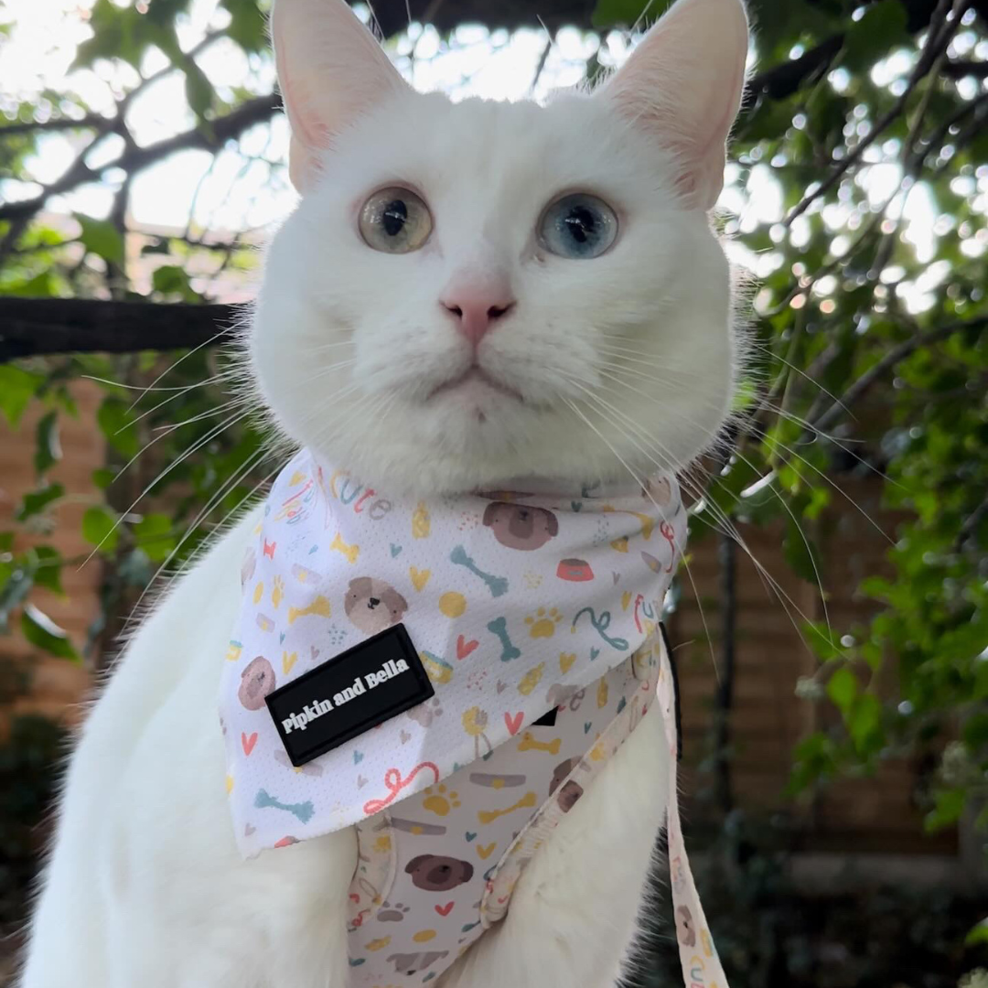 Pet Bandana - Cute Fur Baby