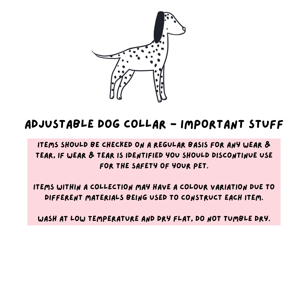 Adjustable Dog Collar - Moonlight Walk