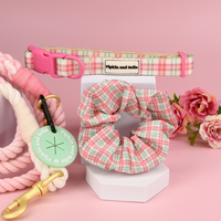 Adjustable Dog Collar - Aurora
