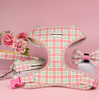 Adjustable Cat Harness - Aurora