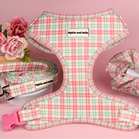 Adjustable Cat Harness - Aurora