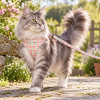 Adjustable Cat Harness - Aurora