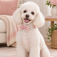 A small white poodle sits indoors wearing a pink and green plaid bow tie collar with a visible tag that reads Pipkin and Bella'. The background shows a cozy room with a sofa, blanket, side table, and plant.