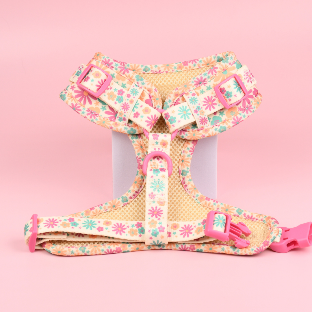 Adjustable Dog Harness - Blossom