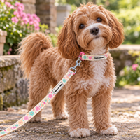Fabric Dog Lead - Blossom