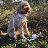 Fabric Dog Lead - Blossom