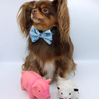 Pet Bow Tie - Farmyard Fairy Tale
