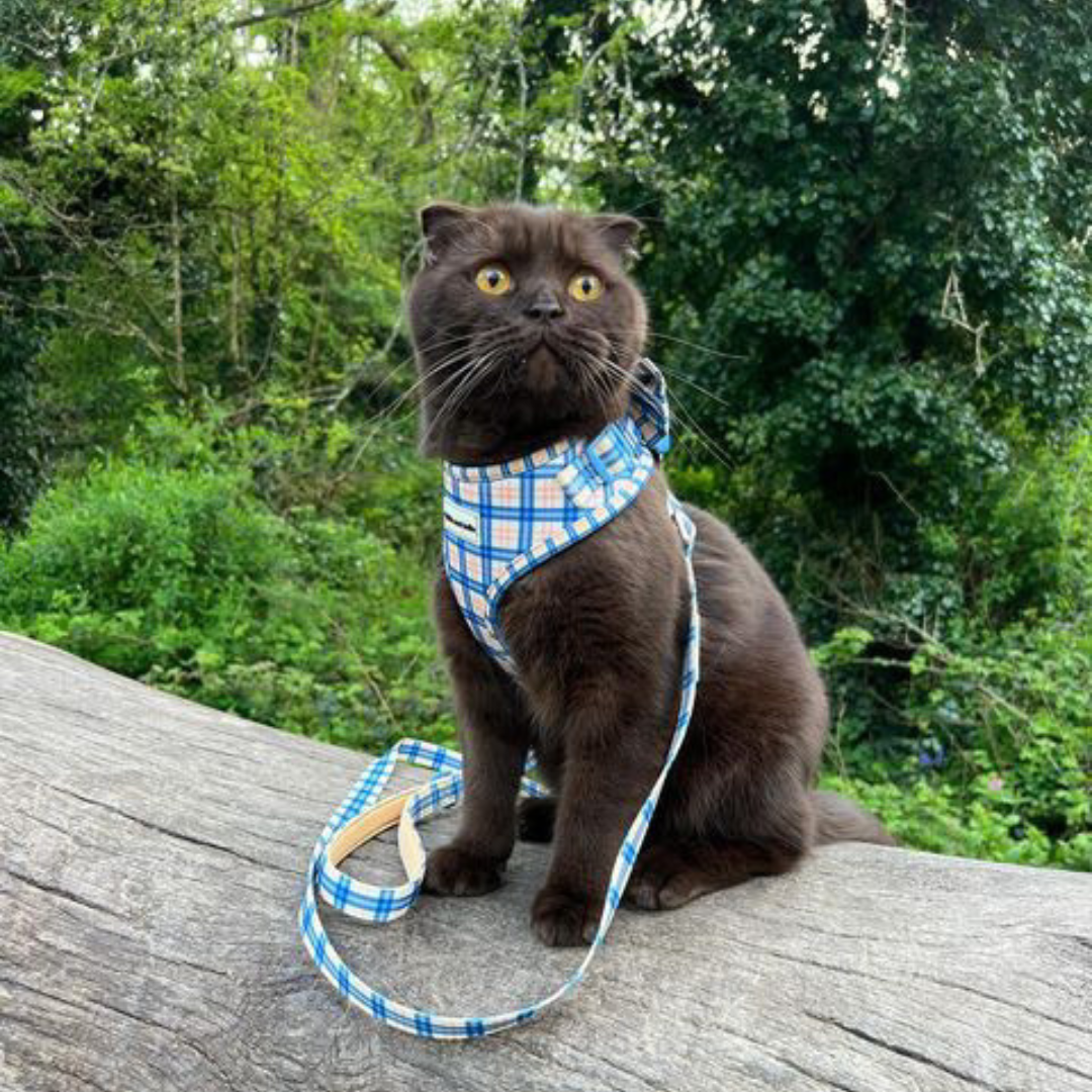 Fabric Cat Lead - Twilight