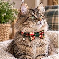 A fluffy tabby cat wearing a red, green, and yellow plaid bow tie collar with a small silver bell, sitting on a cream blanket in a cozy indoor setting.