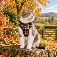 Adjustable Cat Harness - Copper Glen