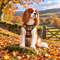Adjustable Dog Harness - Copper Glen