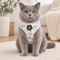 A gray cat wearing a printed pet harness sits on a cream rug in a softly lit living room. The harness has a white base with small blue, orange, and yellow cartoon-style motifs and a black circular patch in the center.