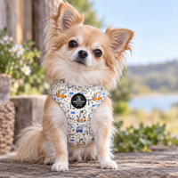 A small fluffy dog sitting outdoors wearing a patterned harness. The harness has a cream background with blue, orange, and yellow dinosaur-themed illustrations