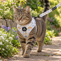 A tabby cat walking on a stone garden path wearing a white harness with a colorful cartoon pattern and a matching printed leash. The harness has a black circular logo patch in the center.