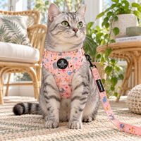 A gray tabby cat wearing a pink patterned harness and matching leash sits on a woven rug in a bright, cozy room with plants and rattan furniture.