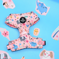 Adjustable Dog Harness - Ellie Funk
