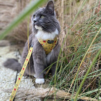 Adjustable Cat Harness - Paws Ahoy