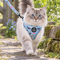 Adjustable Cat Harness - Farmyard Fairy Tale