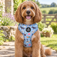 A golden dog sitting outdoors wearing a light blue dog harness with a whimsical animal print. The harness features illustrations of horses, a bird, a cow, and a dog on a blue background.