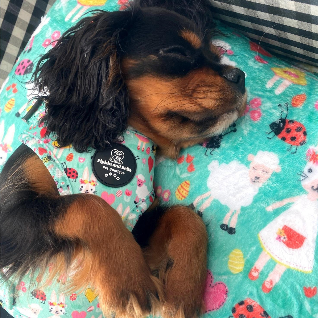 Adjustable Dog Harness - Florrie Bunny
