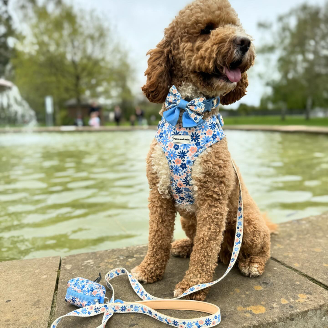 Pet Sailor Bow Tie - Meadow