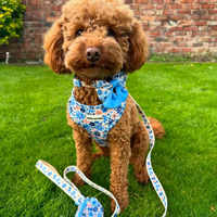 Pet Sailor Bow Tie - Meadow