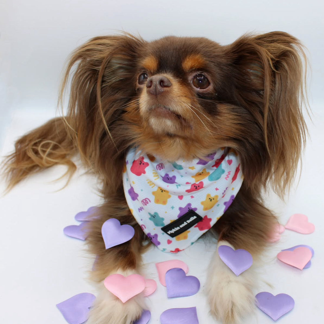 Pet Bandana - Jellie Bubba