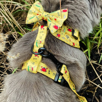 Pet Bow Tie - Paws Ahoy