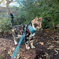 Fabric Cat Lead - Wellie Walkies
