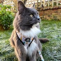 Adjustable Cat Harness - Monster Mash